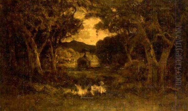 Clearing In A Forest - view 1