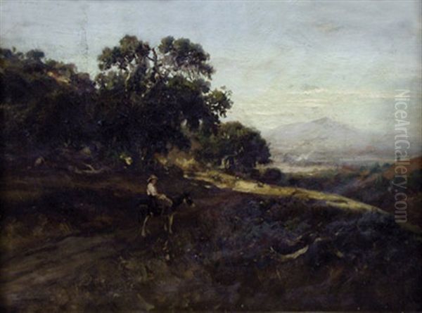 View Of Mount Diablo - view 1