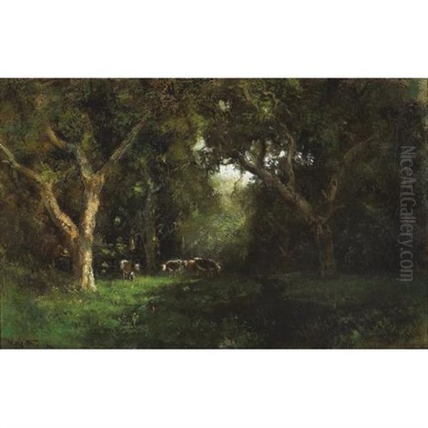 Cows In A Forest Clearing - view 1