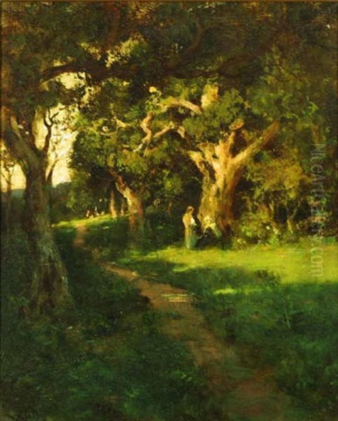 The Oak Glade - view 1