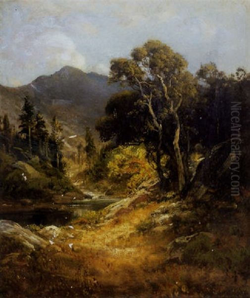A Sierra Landscape - view 1