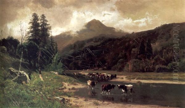 Cows Watering Beneath Tamalpais - view 1