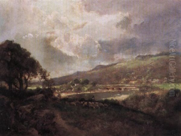 Marin Landscape - view 1