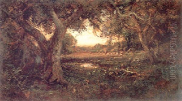 View Of A Clearing Through Trees - view 1