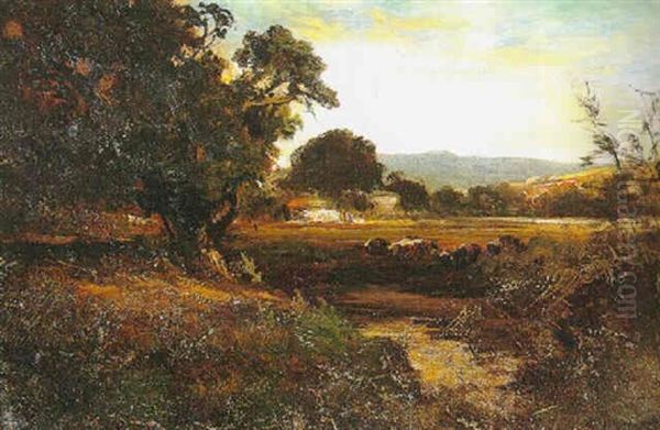 After The Storm - view 1