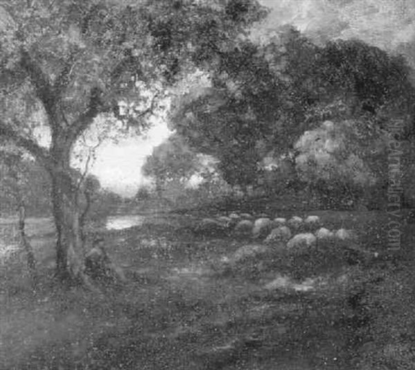 Shepherd With His Flock At Sunset - view 1