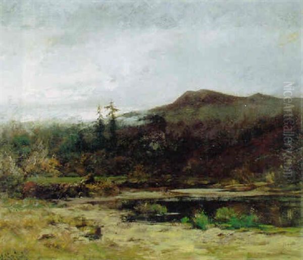A Mountain Lake - view 1