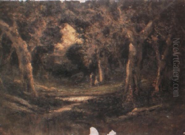 Woodland Scene - view 1