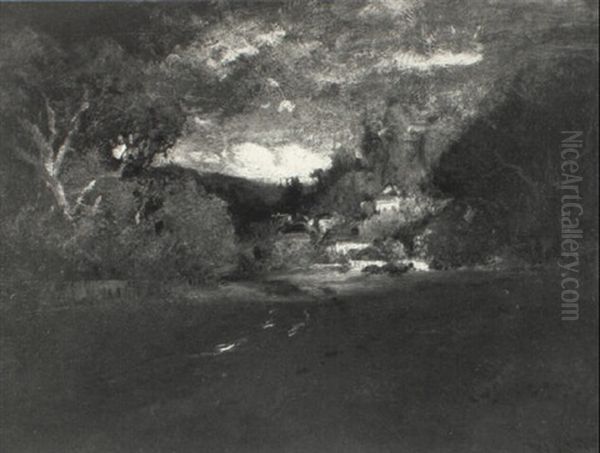 Road Through The Woods - view 1