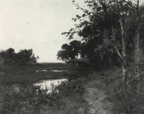 Sunset Over The Marsh - view 1