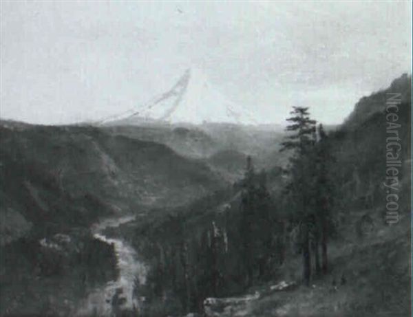 Mount Rainier - view 1