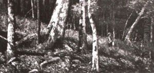 Man In Forest Man In Forest