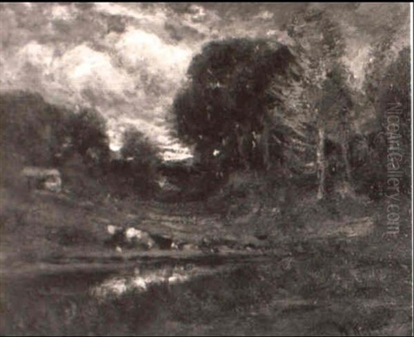 Wooded Interior - view 1