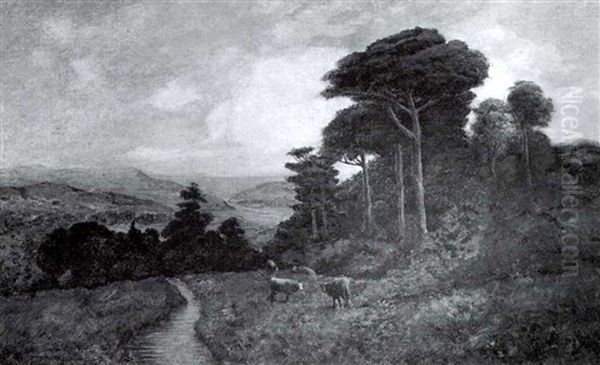 Pastures By The Sea - view 1