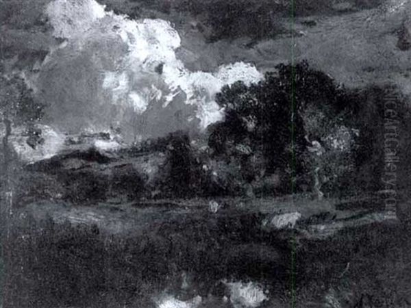 Marin Landscape - view 1