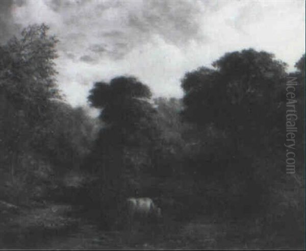 Cows In A Forest Clearing - view 1