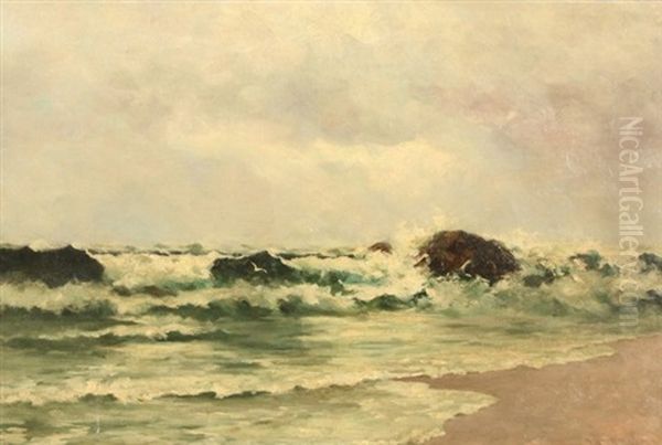 The Shore - view 1