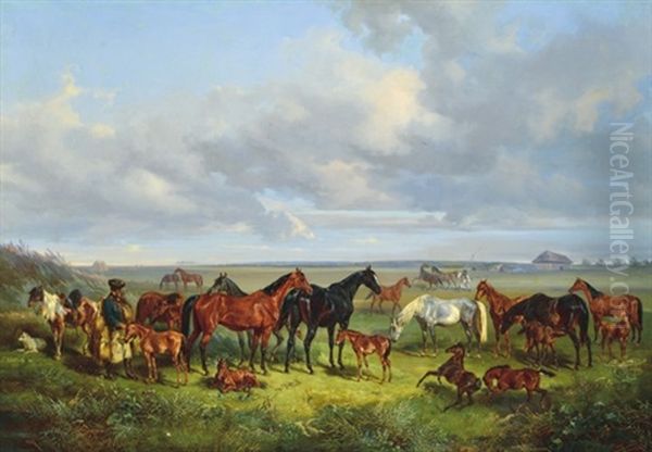 Prairie - view 1