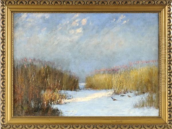 Verschneite Schilfgraslandschaft Mit Fasanen - view 1