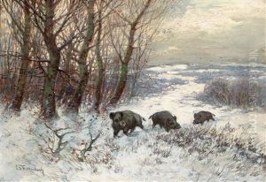 Wildschweinrotte Im Winter Wildschweinrotte Im Winter
