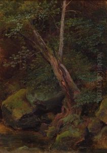 Waldlandschaft Waldlandschaft