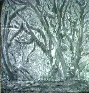 A Wooded Glen by Edgar Keller