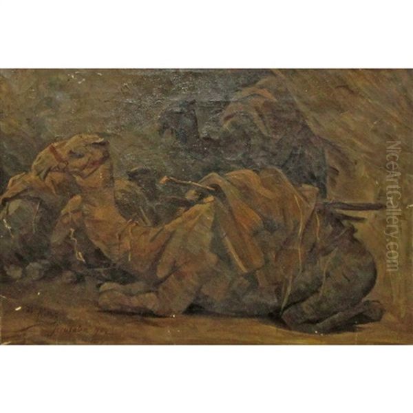 Camels At Rest - view 1