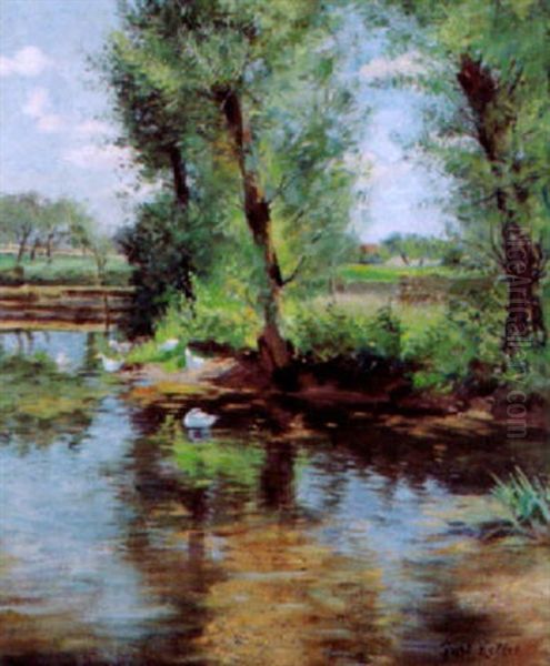 Ganse Am Teich - view 1