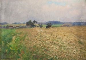 Sommerliche Feldlandschaft Mit Einem Kleinen Dorf