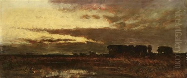 Landschaft Im Dachauer Moor - view 1