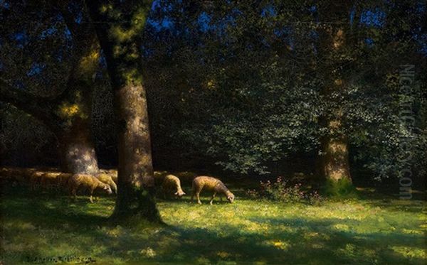 Clearing With Sheep - view 1