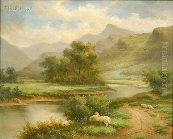 Sheep Grazing Along The River - view 1