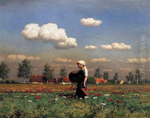 In The Poppy Field - view 1