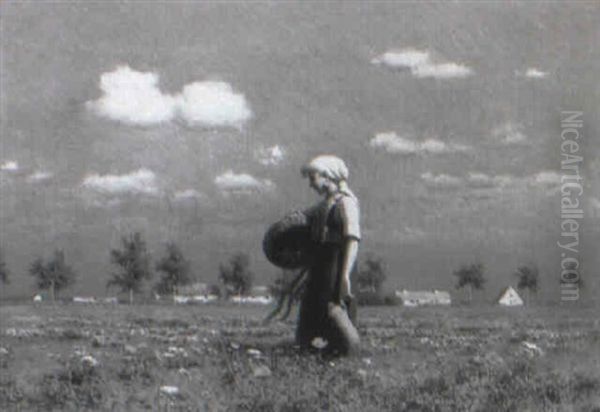 A Walk Through A Poppy Field - view 1