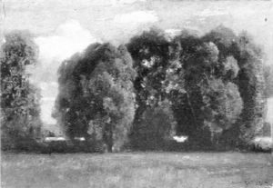 Sommerlandschaft Mit Baumgruppe Bei Dachau