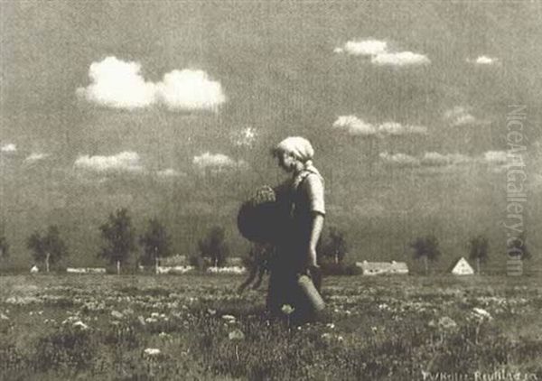 The Poppy Field - view 1