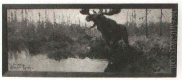 Moose By Moonlight - view 1
