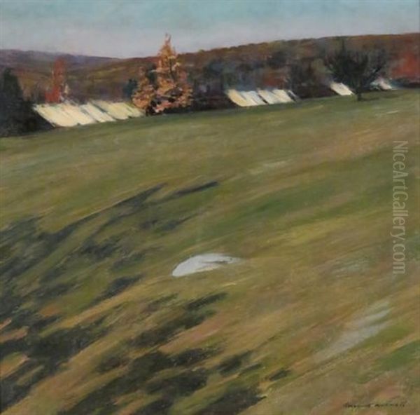 Autumn Landscape With Tree Shadows On A Grassy Meadow - view 1