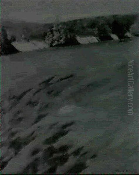 Autumn Landscape With Tree Shadows On A Grassy Meadow - view 1