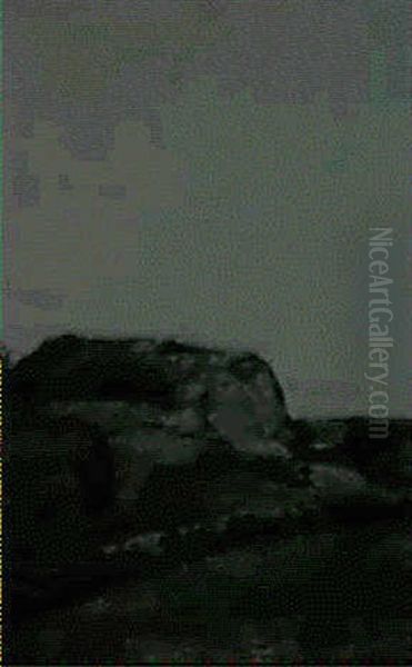 Tongues Of Fire - view 1