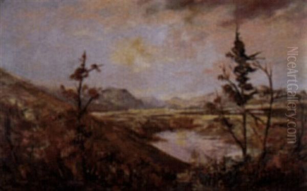 Untitled - Autumn Reflections - view 1