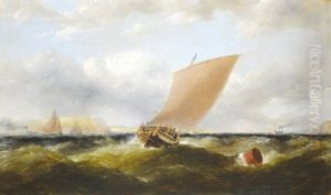 A View Of Cork Harbour by Matthew Kendrick