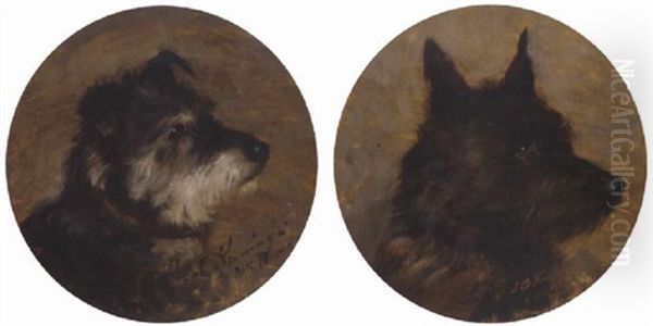 "augustus" - view 1