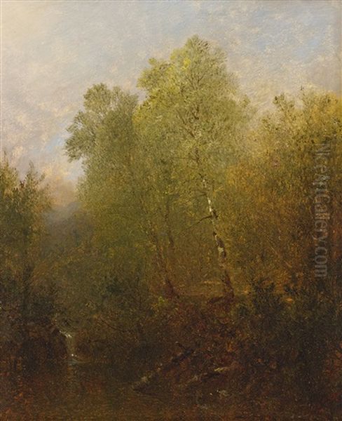Spring Landscape With Waterfall - view 1