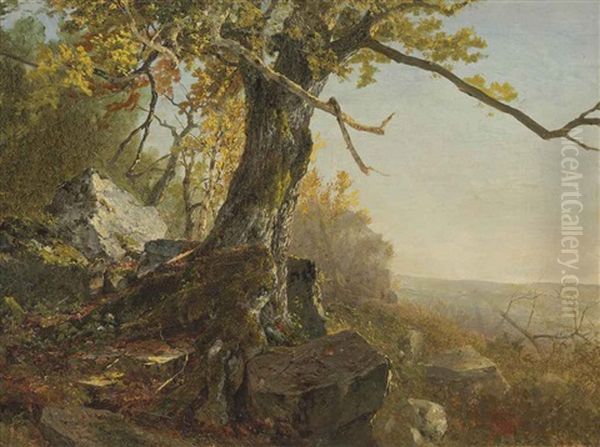 Tree In A Landscape - view 1