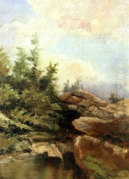 Wooded Rural Landscape - view 1