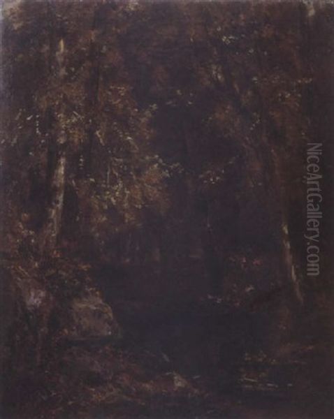 Study Of Trees - view 1