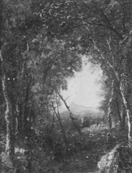 A View Through The Trees, Early Autumn - view 1