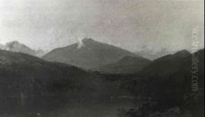 White Mountain Landscape