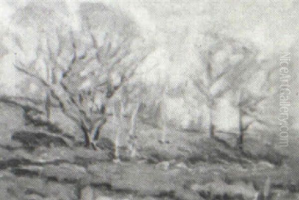 Spring Landscape - view 1